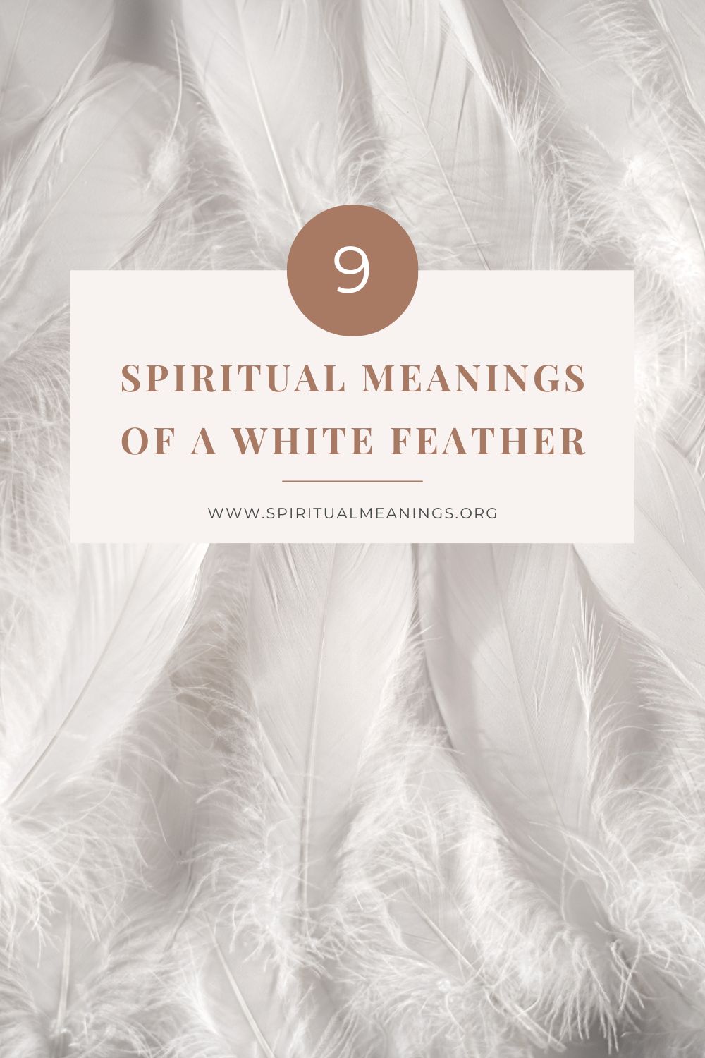 9 Spiritual Meanings of a White Feather